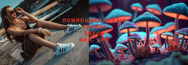 гидра Абдулино